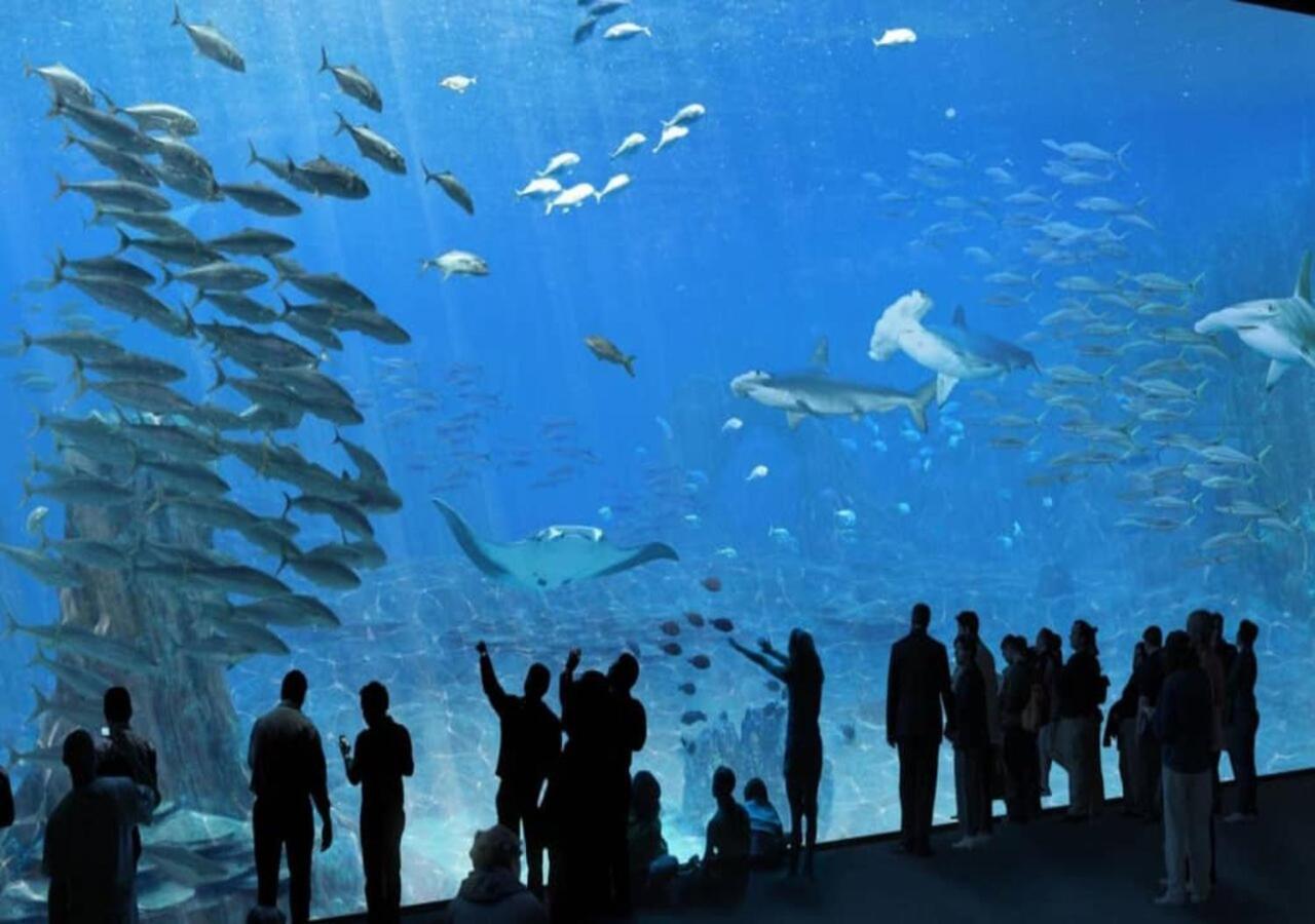 Le Grand Large Lägenhet Boulogne-sur-Mer Exteriör bild